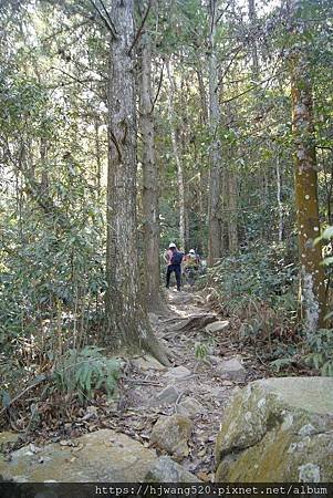 唐麻丹山