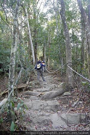 唐麻丹山