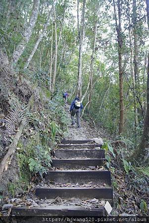 唐麻丹山