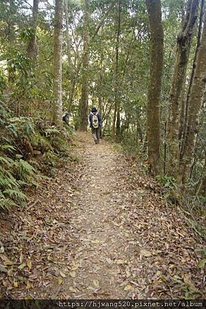 唐麻丹山