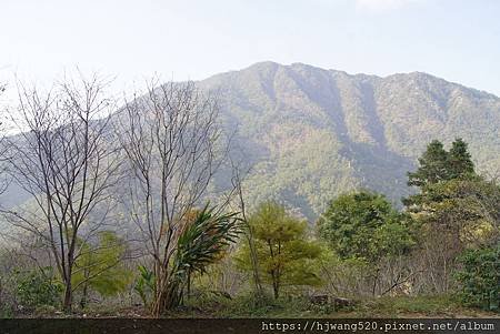 東卯山