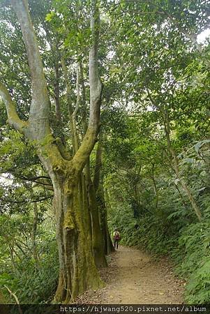 大溪石門山