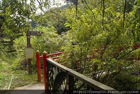 茶展中心步道