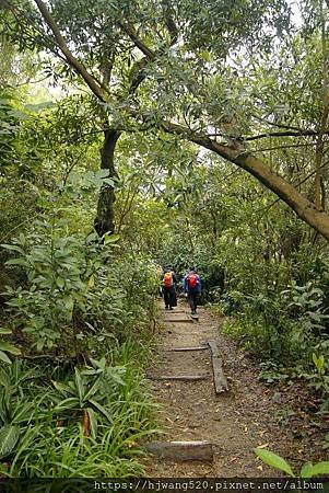 劍潭山步道
