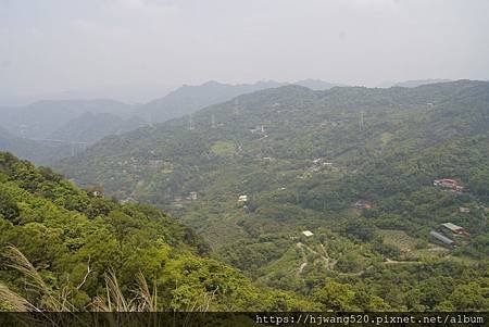 2020.04.18月扇湖山大岩壁奇景、四分子古道樹蕨樂園