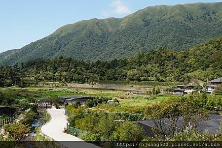 頂湖海芋步道