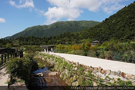 頂湖海芋步道