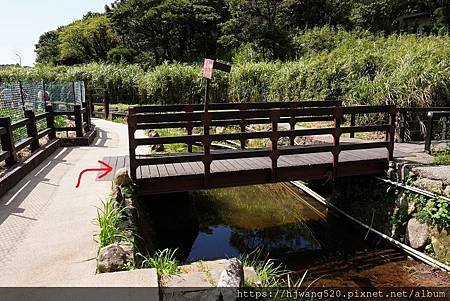 頂湖海芋步道