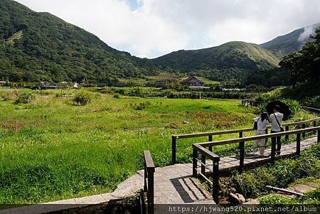 頂湖海芋步道