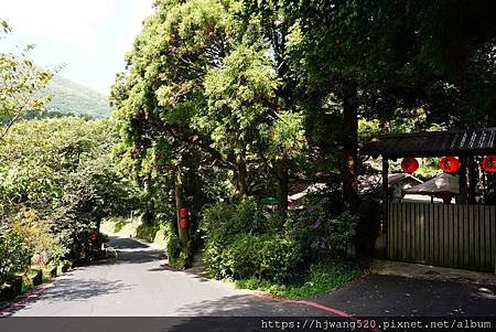 頂湖海芋步道