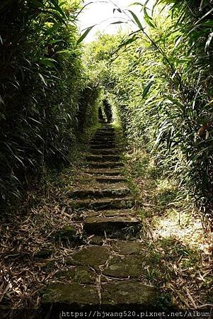 大屯主峰連峰步道