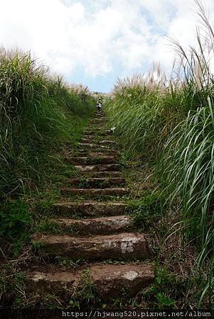 大屯主峰連峰步道