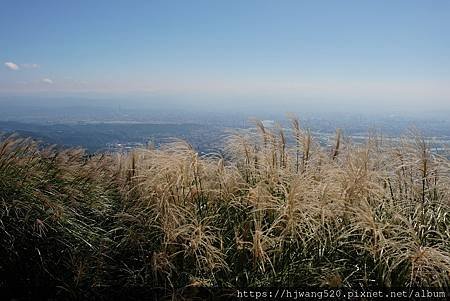 大屯南峰