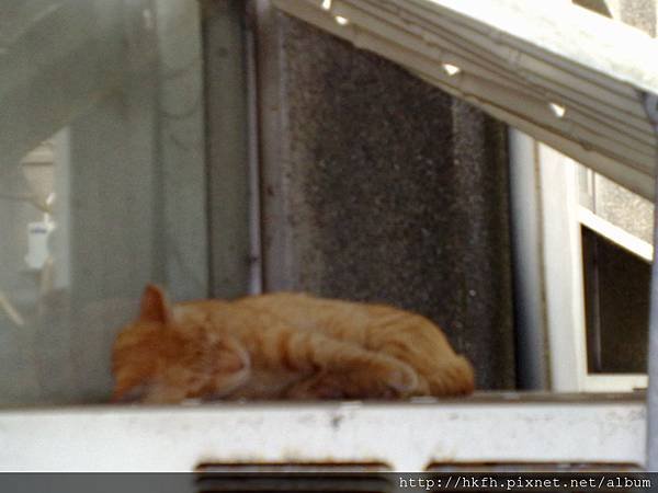 20110615717.jpg