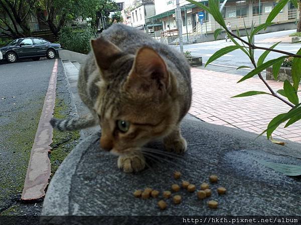 201107131018.jpg