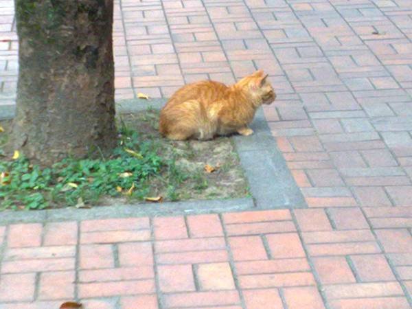 20110426488.jpg