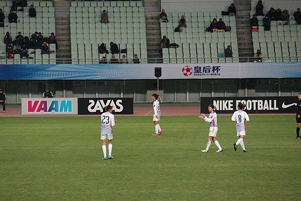 IMG_2595.jpg