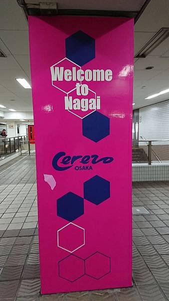 DSC_0103_1.jpg