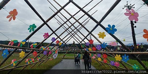 桃園花彩節、大溪花海、花彩節大溪