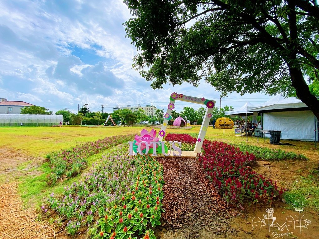 2022桃園蓮花季-芳草碧蓮天.jpg