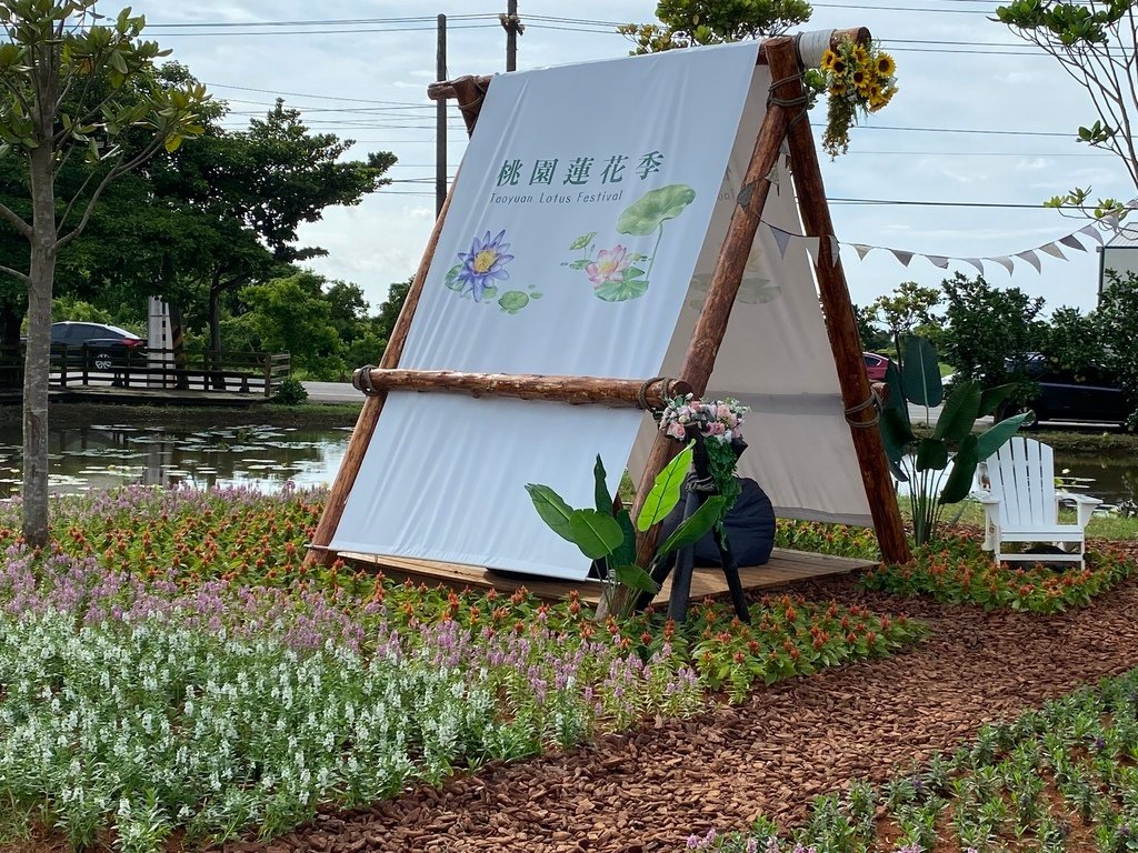 2022桃園蓮花季-蓮田野營.JPG