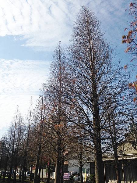 玉山公園_2386.jpg