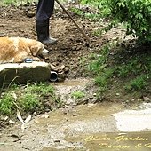 IMG_8391.jpg