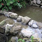 IMG_8396.jpg