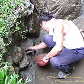 IMG_8400.jpg