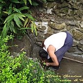 IMG_8398.jpg