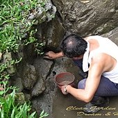 IMG_8401.jpg