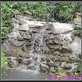 IMG_7667.jpg