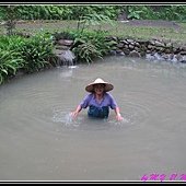 05216.jpg