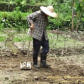 IMG_8392.jpg