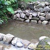 IMG_8397.jpg