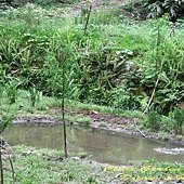 IMG_8403.jpg
