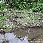 IMG_8407.jpg