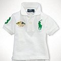 (7折)1106   POLO