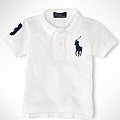 (7折)1036   POLO