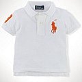 (7折)1036   POLO