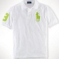 (7折)1106   POLO