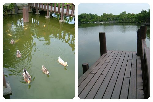 羅東運動公園中央的虹明湖