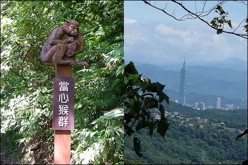 當心獼猴與台北101