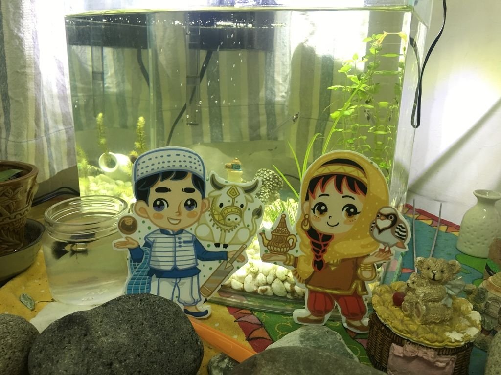 Alice misA心夢任務 分享創作過程網誌%3E%3E http:%2F%2Fhoelex513.pixnet.net%2Fblog%2Fpost%2F343713491  巴基鄉料PakiMa