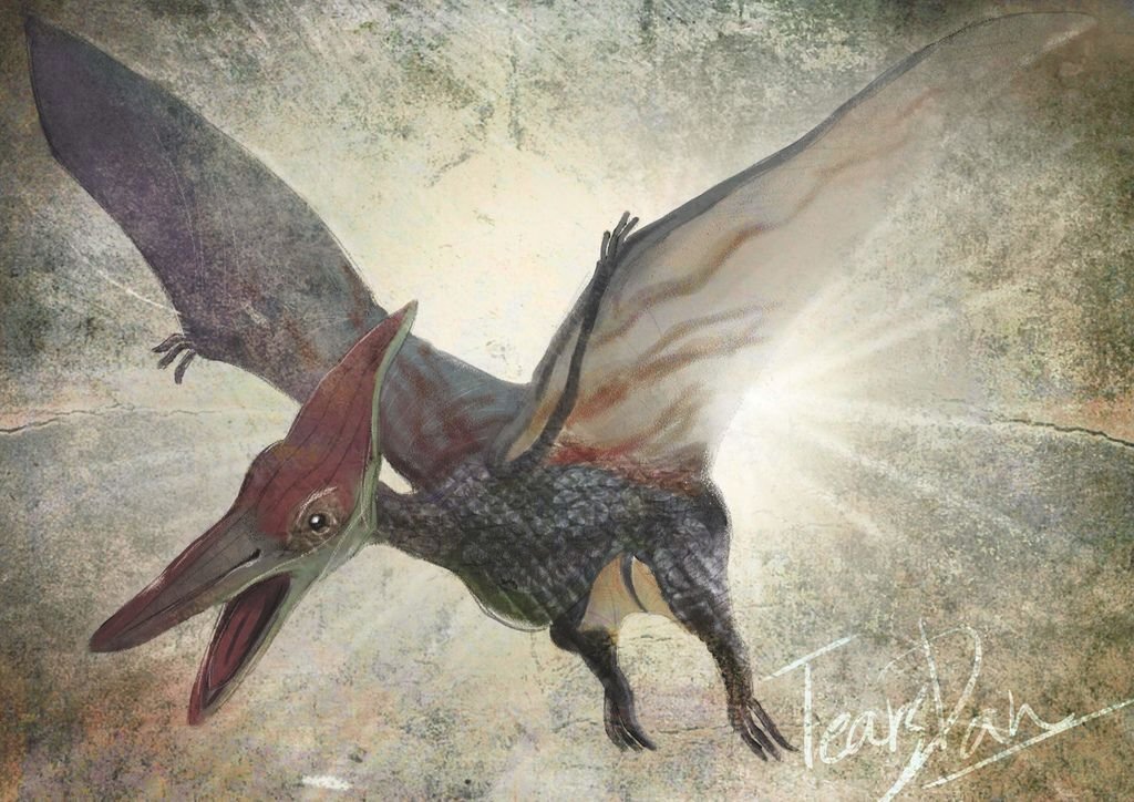 侏儸紀世界Jurassic Park-無齒翼龍Pteranodon-婁丹雲(淚丹-TearsDan).jpg