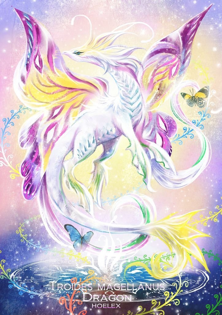 魔獸世界-珠光鳳蝶龍-hoelex15.jpg