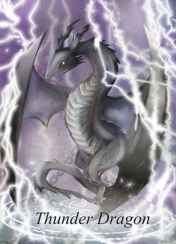 魔獸世界-閃電龍-林佳蓉.jpg
