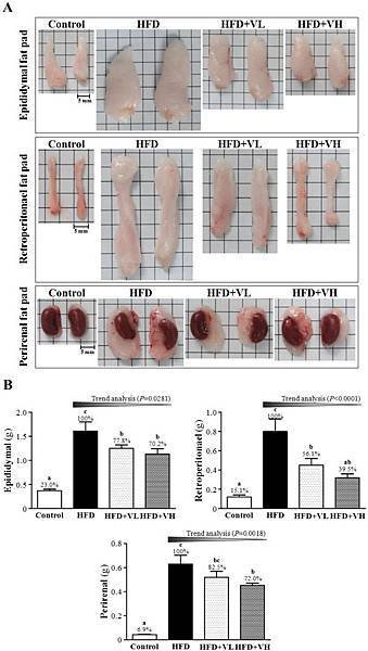 Whole-Body Vibration Training Effect on Physical Performance and Obesity in Mice黃啟彰