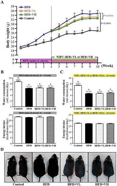 Whole-Body Vibration Training Effect on Physical Performance and Obesity in Mice01