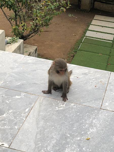 中越 會安靈應寺